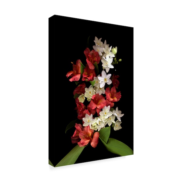 Susan S. Barmon 'Paperwhites And Red Alstromeria' Canvas Art,12x19